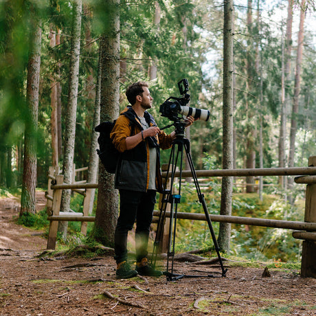 Die Dschungel-Fotografie meistern: Unverzichtbare Tipps zum Einfangen der Wunder der Natur